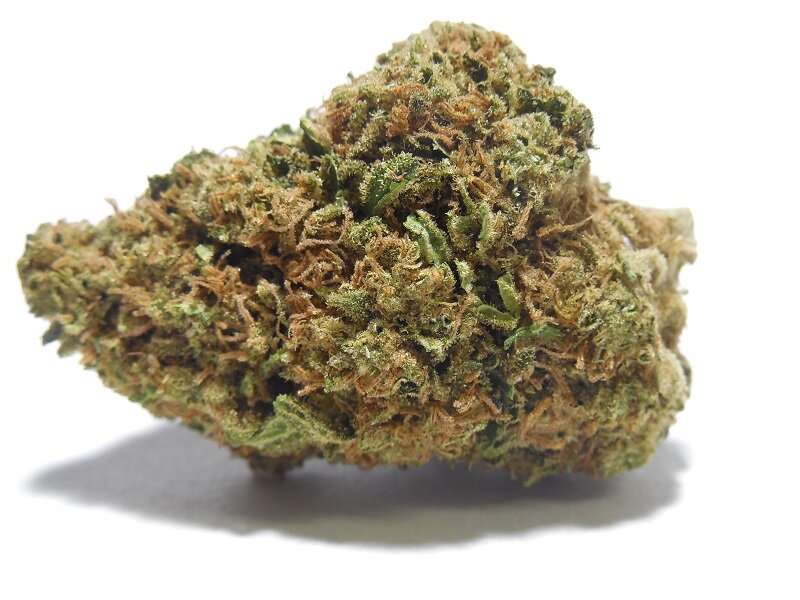 legal cannabis Fun fact: the average marijuana dispensary or recreational store brings in about $974 in annual revenue per square foot, about the same as a whole foods store. legal cannabis Fun fact: the average marijuana dispensary or recreational store brings in about $974 in annual revenue per square foot, about the same as a whole foods store.